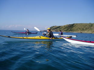 �d����Y�ꂽ���Ђ�����u���[�̊C�𑆂��B