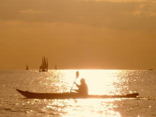 �����������v